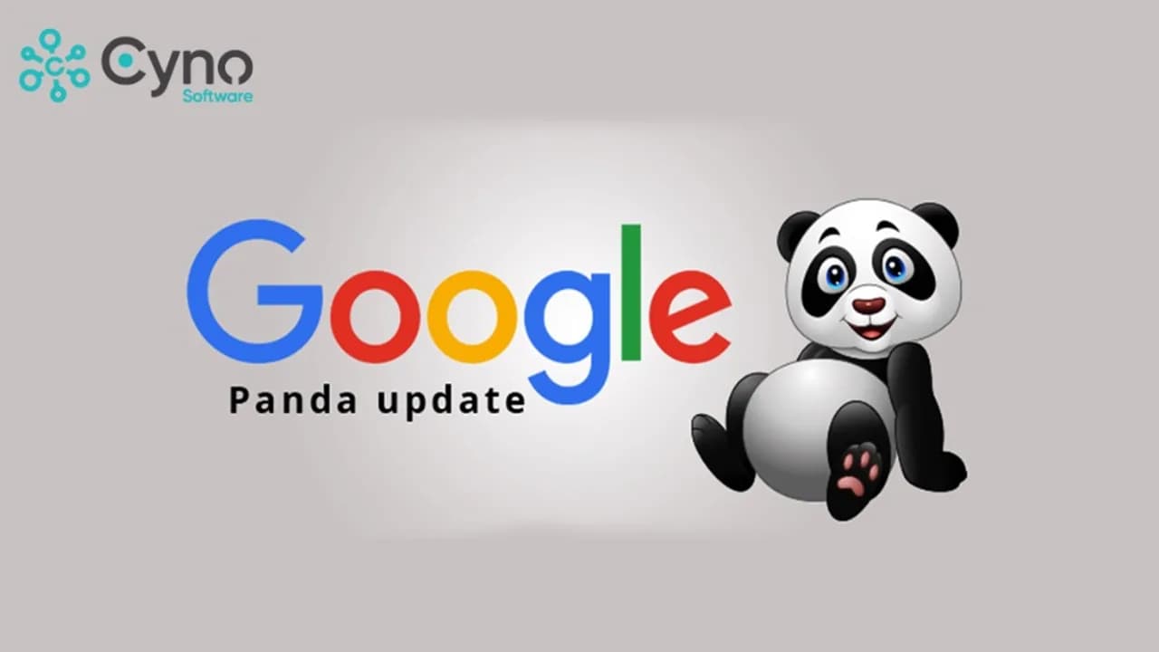 Google Panda là gì? Lịch sử cập nhật và chất lượng nội dung