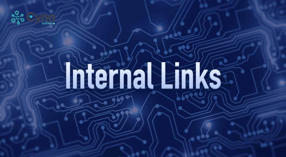 Internal Link là gì? Cách tổ chức liên kết nội bộ website