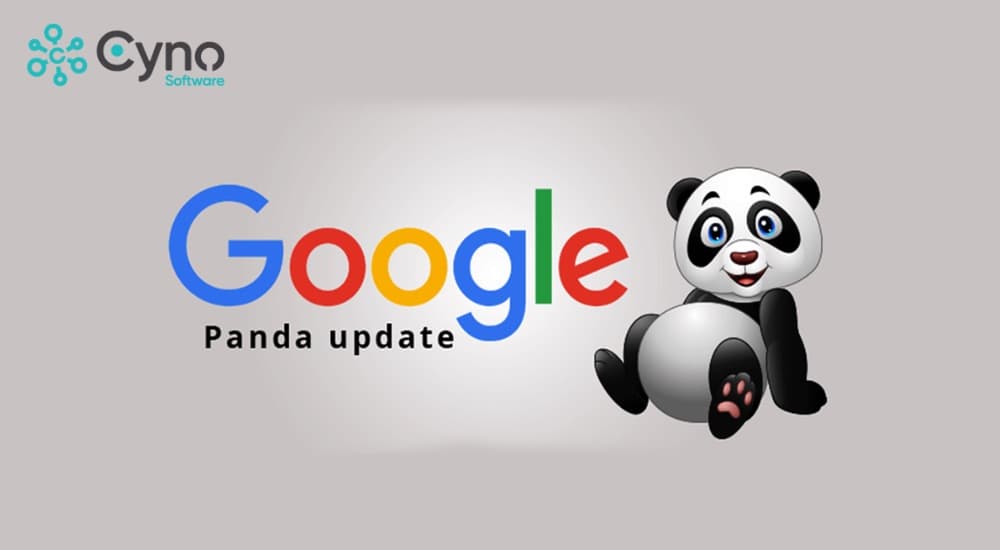 Google Panda là gì? Lịch sử cập nhật và chất lượng nội dung