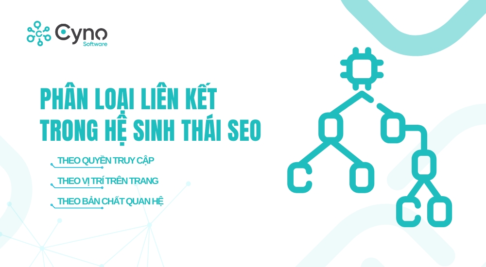 PHÂN LOẠI LIÊN KẾT TRONG HỆ SINH THÁI SEO